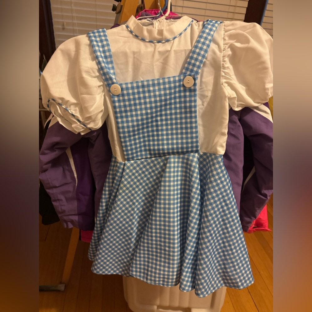 Dorothy  wizard of oz  costume with wig